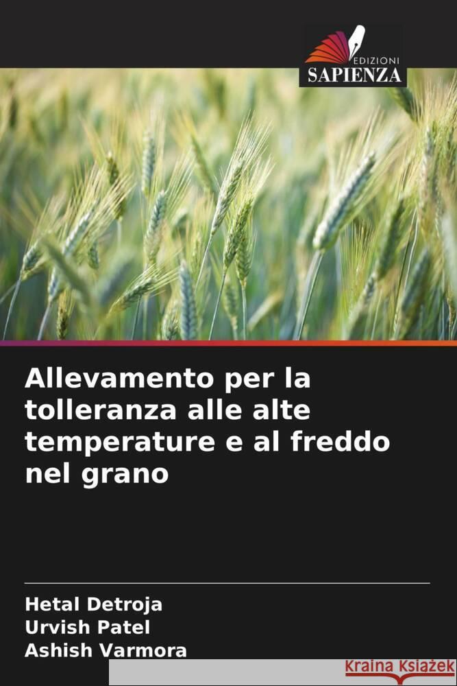 Allevamento per la tolleranza alle alte temperature e al freddo nel grano Detroja, Hetal, Patel, Urvish, Varmora, Ashish 9786208616311 Edizioni Sapienza - książka