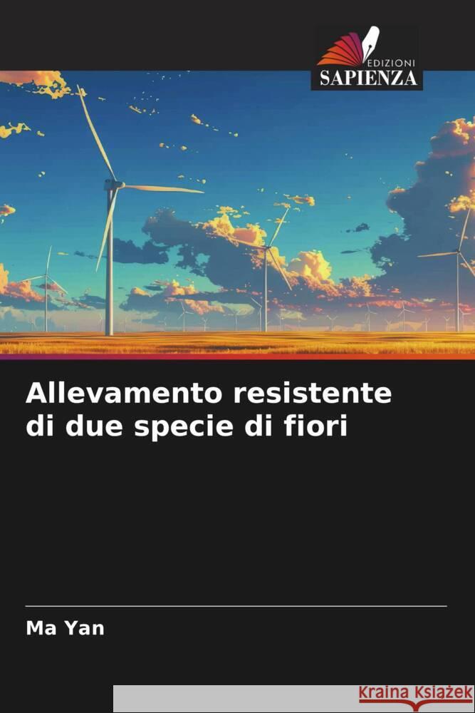 Allevamento resistente di due specie di fiori Ma Yan 9786208328405 Edizioni Sapienza - książka