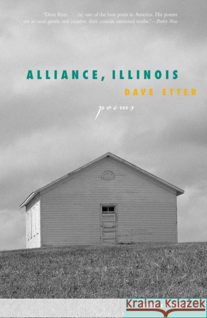 Alliance, Illinois Etter, Dave 9780810122130 Northwestern University Press - książka