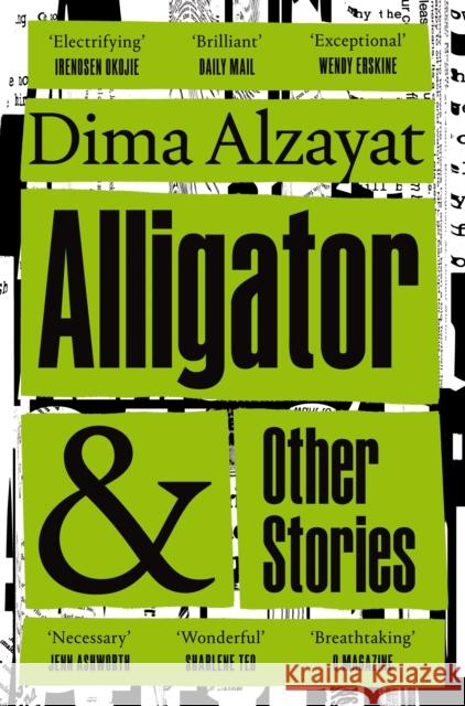 Alligator and Other Stories Dima Alzayat 9781529029918 Pan Macmillan - książka