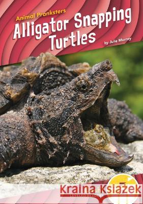 Alligator Snapping Turtles Julie Murray 9781098228323 Dash! - książka
