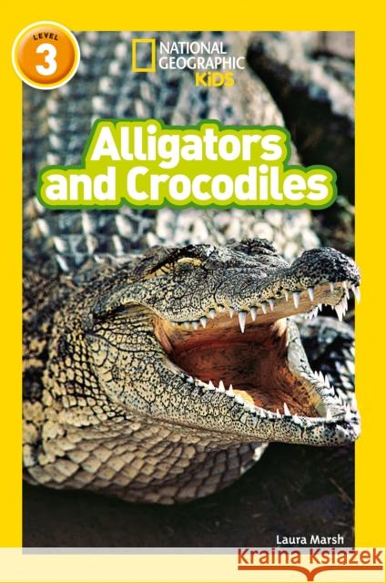 Alligators and Crocodiles: Level 3 National Geographic Kids 9780008266684 HarperCollins Publishers - książka