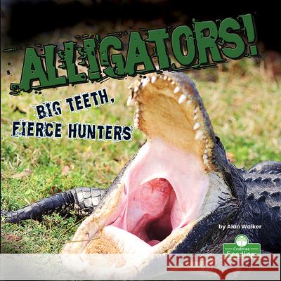 Alligators! Big Teeth, Fierce Hunters Alan Walker 9781427161307 Crabtree Seedlings - książka
