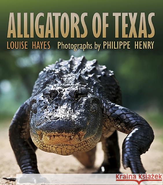 Alligators of Texas, Volume 29 Hayes, Louise 9781623493875 Texas A&M University Press - książka