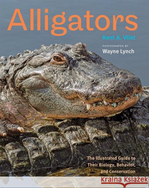 Alligators: The Illustrated Guide to Their Biology, Behavior, and Conservation Kent A. Vliet Wayne Lynch 9781421433370 Johns Hopkins University Press - książka