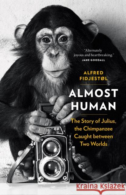 Almost Human: The Story of Julius, the Chimpanzee Caught Between Two Worlds  9781771643856 Greystone Books - książka