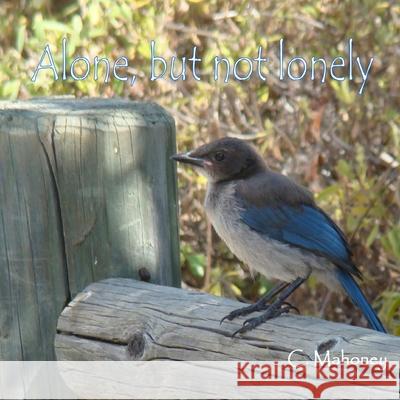 Alone, but not lonely: finding peace in a chaotic world C. Mahoney 9781492223122 Createspace Independent Publishing Platform - książka