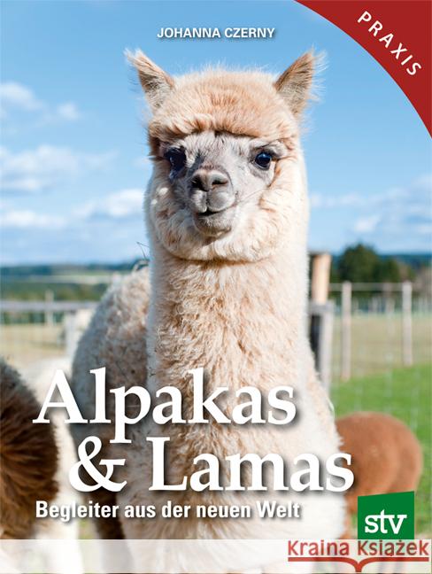 Alpakas & Lamas Czerny, Johanna 9783702019310 Stocker - książka