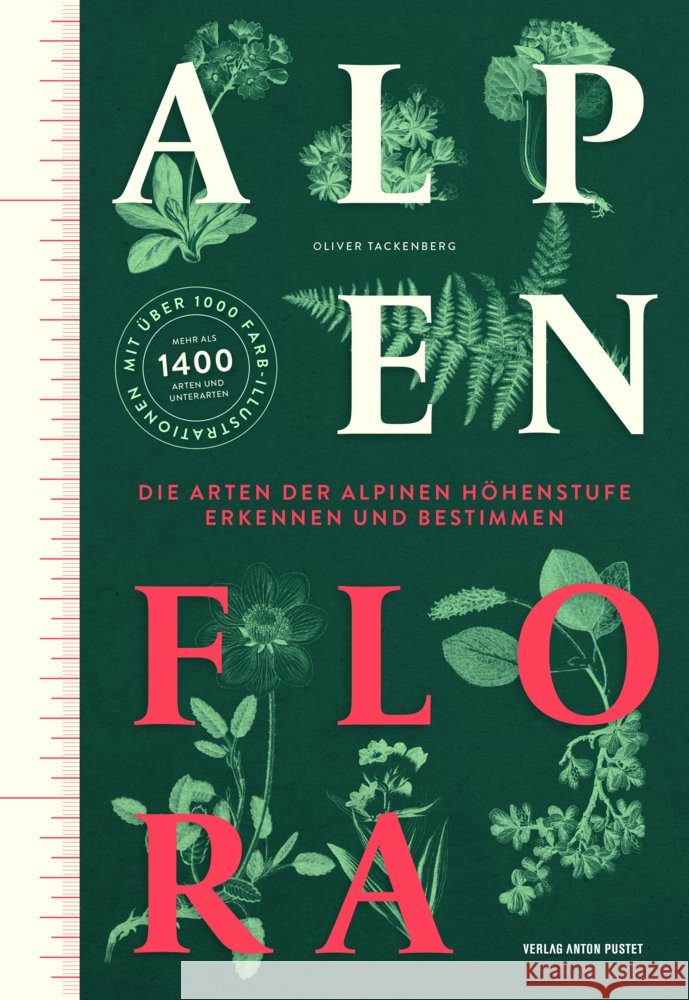 Alpenflora Tackenberg, Oliver 9783702511340 Pustet, Salzburg - książka