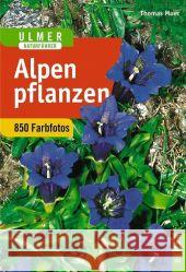 Alpenpflanzen Muer, Thomas Angerer, Oskar  9783800133741 Ulmer (Eugen) - książka