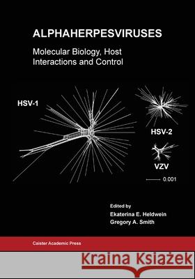 Alphaherpesviruses: Molecular Biology, Host Interactions and Control Ekaterina E. Heldwein Gregory A. Smith 9781913652555 Caister Academic Press Limited - książka