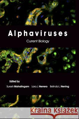 Alphaviruses: Current Biology Mahalingam, Suresh 9781910190159 Caister Academic Press - książka