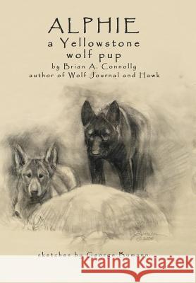 Alphie, a Yellowstone Wolf Pup Brian A. Connolly George Bumann 9781621372011 Virtualbookworm.com Publishing - książka
