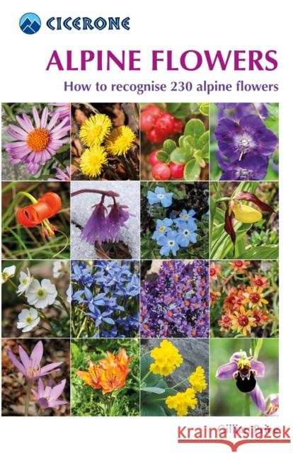 Alpine Flowers: How to recognise 230 alpine flowers Gillian Price 9781852845650 Cicerone Press - książka