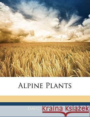 Alpine Plants David Wooster 9781144848369  - książka