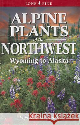 Alpine Plants of the Northwest MacKinnon, Andy 9781551058924 Lone Pine Publishing - książka