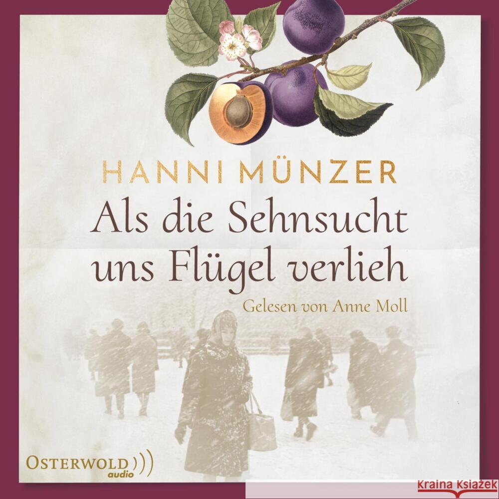 Als die Sehnsucht uns Flügel verlieh, 2 Audio-CD, 2 MP3 Münzer, Hanni 9783869525020 OSTERWOLDaudio - książka