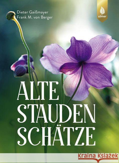 Alte Staudenschätze : Bewährte Arten und Sorten wiederentdecken und verwenden Gaißmayer, Dieter; Berger, Frank M. von 9783818600839 Verlag Eugen Ulmer - książka