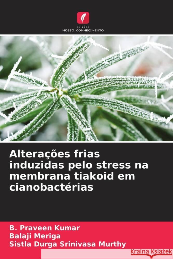 Alterações frias induzidas pelo stress na membrana tiakoid em cianobactérias Praveen Kumar, B., Meriga, Balaji, Durga Srinivasa murthy, Sistla 9786204564043 Edições Nosso Conhecimento - książka