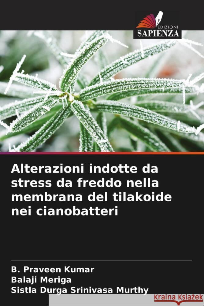 Alterazioni indotte da stress da freddo nella membrana del tilakoide nei cianobatteri Praveen Kumar, B., Meriga, Balaji, Durga Srinivasa Murthy, Sistla 9786204564036 Edizioni Sapienza - książka