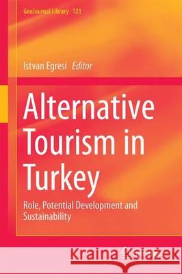 Alternative Tourism in Turkey: Role, Potential Development and Sustainability Egresi, Istvan 9783319475356 Springer - książka