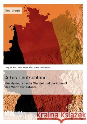 Altes Deutschland. Der demografische Wandel und die Zukunft des Wohlfahrtsstaats Joerg Geuting Carina Pelz Antje Minde 9783956870569 Grin Verlag - książka