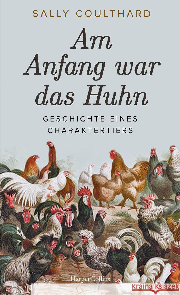 Am Anfang war das Huhn. Geschichte eines Charaktertiers Coulthard, Sally 9783365004869 HarperCollins Hardcover - książka