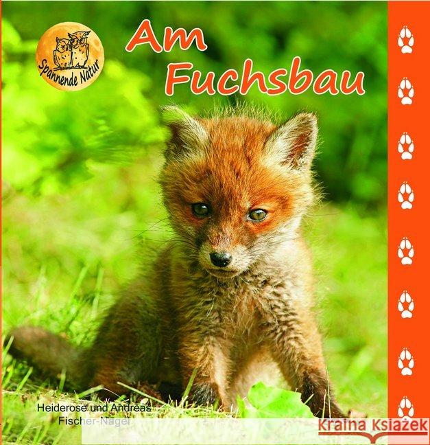 Am Fuchsbau Fischer-Nagel, Heiderose; Fischer-Nagel, Andreas 9783930038572 Fischer-Nagel - książka