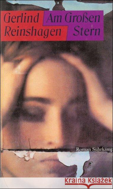 Am Großen Stern : Roman Reinshagen, Gerlind 9783518408025 Suhrkamp - książka