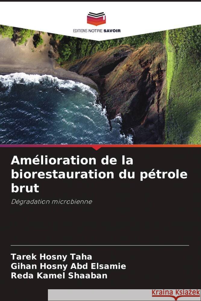 Am?lioration de la biorestauration du p?trole brut Tarek Hosny Taha Gihan Hosny Ab Reda Kamel Shaaban 9786208588663 Editions Notre Savoir - książka
