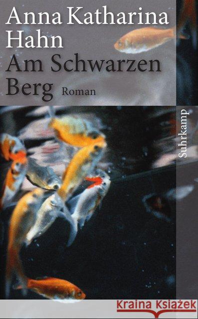 Am Schwarzen Berg : Roman Hahn, Anna K. 9783518464229 Suhrkamp - książka