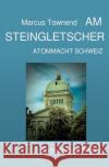 Am Steingletscher townend, marcus 9783756533503 epubli