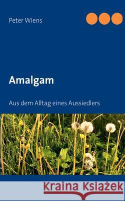 Amalgam: Aus dem Alltag eines Aussiedlers Wiens, Peter 9783842344822 Books on Demand - książka