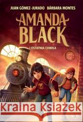 Amanda Black i Ostatnia Chwila Juan Gómez-Jurado, Barbara Montes 9788384063231 Sine Qua Non - książka