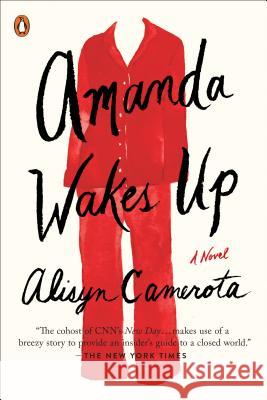 Amanda Wakes Up Alisyn Camerota 9780399564000 Penguin Books - książka