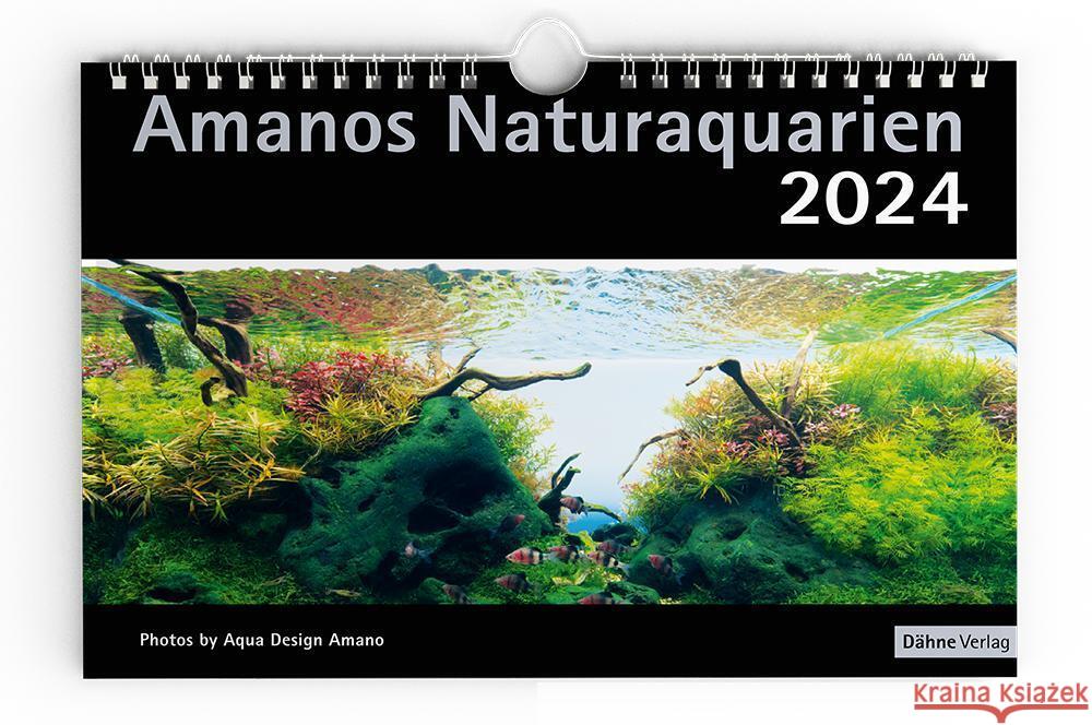 Amanos Naturaquarien 2024 Amano, Takashi 9783944821948 Dähne - książka