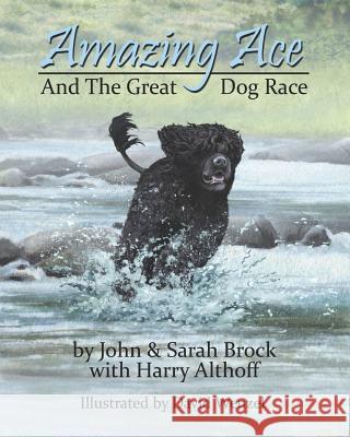 Amazing Ace John Brock Sarah Brock Harry Althoff 9781517151317 Createspace - książka