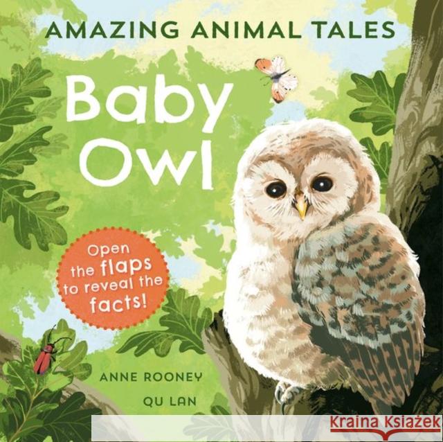 Amazing Animal Tales: Baby Owl Anne Rooney 9780192780911 Oxford University Press - książka
