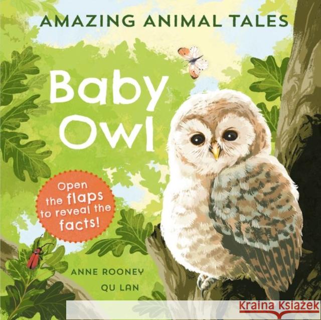 Amazing Animal Tales: Baby Owl Anne Rooney 9780192780928 Oxford University Press - książka