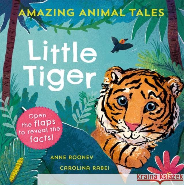Amazing Animal Tales: Little Tiger Anne Rooney 9780192780973 Oxford University Press - książka
