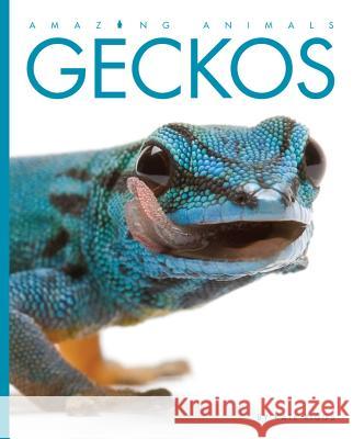 Amazing Animals Geckos Kate Riggs 9781608184897 Creative Education - książka