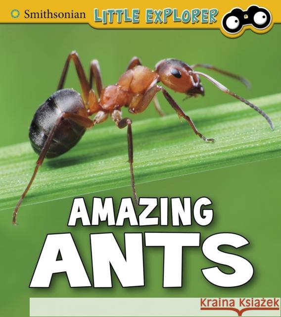 Amazing Ants Megan Cooley Peterson 9781474770620 Capstone Global Library Ltd - książka
