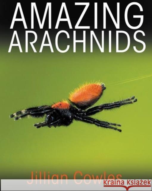 Amazing Arachnids Jillian Cowles 9780691176581 Princeton University Press - książka