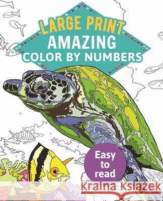 Amazing Color by Numbers Large Print Arcturus Publishing 9781789500516 Arcturus Publishing - książka
