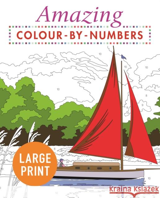 Amazing Colour-by-Numbers Large Print Arcturus Publishing Limited 9781789500509 Arcturus Publishing Ltd - książka