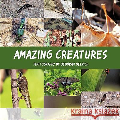 Amazing Creatures Deborah Oelrich 9781434367136 Authorhouse - książka