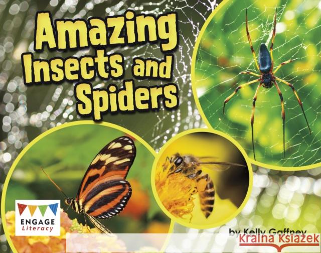 Amazing Insects and Spiders  Raintree 9781474729604 Raintree - książka