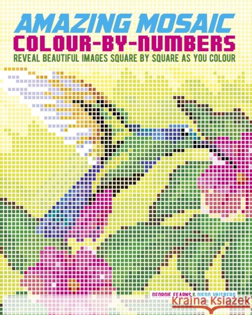 Amazing Mosaic Colour-by-Numbers: Reveal Beautiful Images Square by Square as You Colour Diego Vaisberg 9781398829022 Arcturus Publishing Ltd - książka