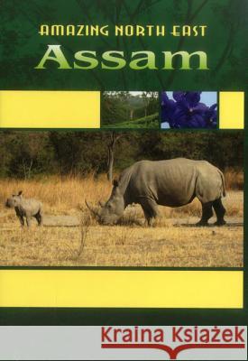 Amazing North East - Assam Devi, Aribam Indubala 9789380177243 Vij Books India - książka
