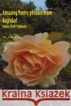 Amazing Poetry Phrases from Baghdad Dr M. y. Raheem 9781541313699 Createspace Independent Publishing Platform